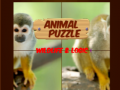 Spill Animal Puzzle: Wildlife & Logic