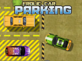 Spill Frolic Car Parking 