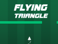 Spill Flying Triangle