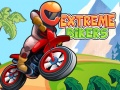 Spill Extreme Bikers