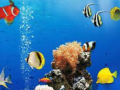 Spill Sea Underwater Difference
