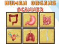 Spill Human Organs Scanner