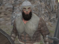 Spill Vikings Aggression