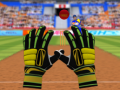 Spill Cricket Fielder Challenge