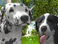 Spill Dog Simulator 3d