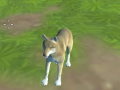 Spill Wolf Simulator