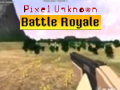 Spill Pixel Unknown Battle Royale