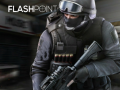 Spill Flashpoint