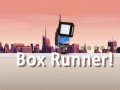 Spill Box Runner
