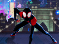 Spill Spiderman into the spiderverse Masked missions