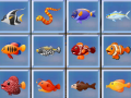 Spill Find The Fish