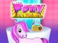 Spill Pony Pet Salon