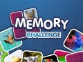 Spill Memory Challenge