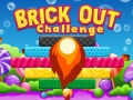 Spill Brick Out Challenge