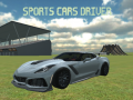 Spill Sports Cars Driver