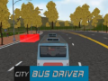 Spill City Bus Driver  