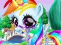 Spill Rainbow Pony Caring