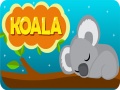 Spill Koala