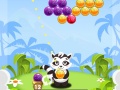 Spill Bubble Shooter Raccoon