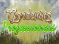 Spill Gardening Professionals