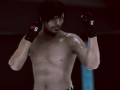 Spill MFS: MMA Fighter
