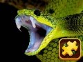 Spill Snake Puzzle Challenge