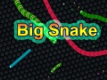 Spill Big Snake