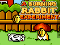 Spill A Burning Rabbit Experiment