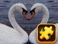 Spill Swan Puzzle Challenge