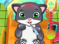 Spill Cat Doctor