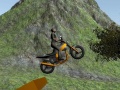 Spill Dirt Bike Rider