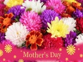 Spill 2019 Mother's Day Puzzle