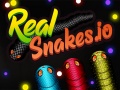 Spill Real Snakes.io