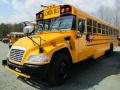 Spill School Buses Puzzle