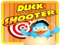 Spill Duck Shooter