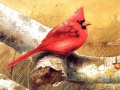 Spill Art Birds Puzzle