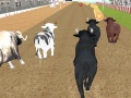 Spill Angry Bull Racing
