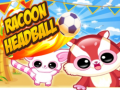Spill Racoon Headball