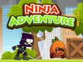 Spill Ninja Adventure