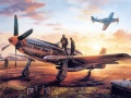 Spill Air Combat Puzzle