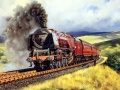 Spill Train Journeys Puzzle
