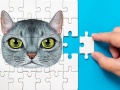 Spill Abyssinian Puzzle Challenge