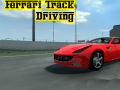 Spill Ferrari Track Driving