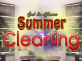 Spill Spot The differences Summer Cleaning