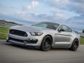 Spill Mustang Shelby Puzzle