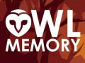 Spill Owl Memory