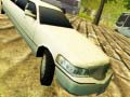 Spill Limousine Driver