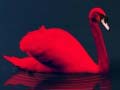 Spill Love Birds Puzzle