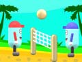 Spill Beach Volleyball