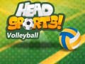 Spill Head Sports Volleyball